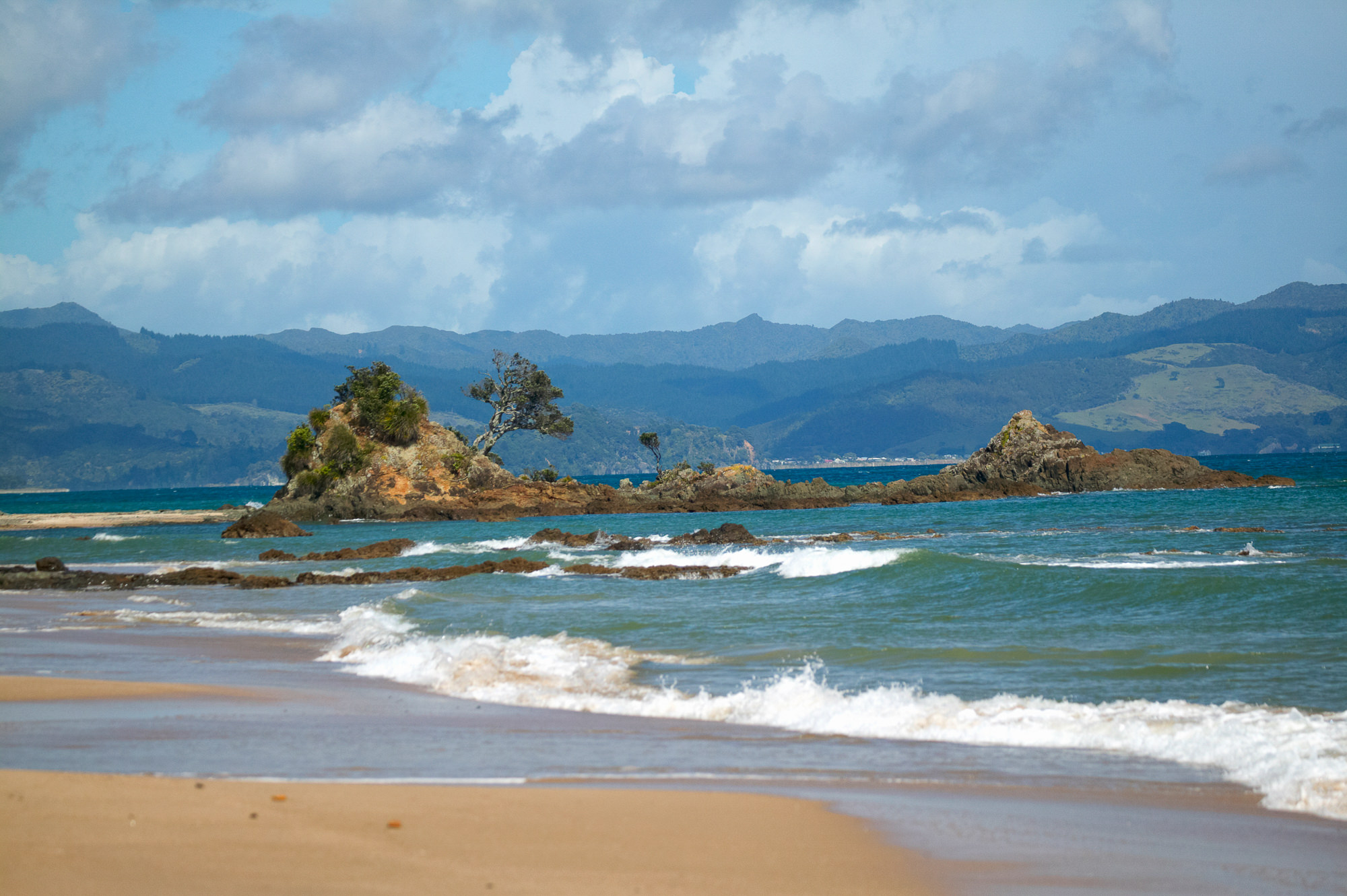 Landschaft der Coromandel Halbinsel